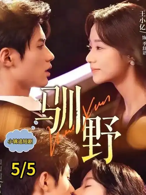 长夜灯火 热播电视剧全集免费观看
